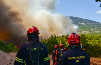 Πυρκαγιά σε Αττική και Βοιωτία: Πώς έγινε η επιχείρηση διάσωσης και απομάκρυνσης πολιτών