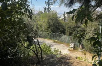 Σε επιφυλακή ο Δήμος Αθηναίων για τις πυρκαγιές: «Κλειστός» από τα μεσάνυχτα ο λόφος Φινόπουλου