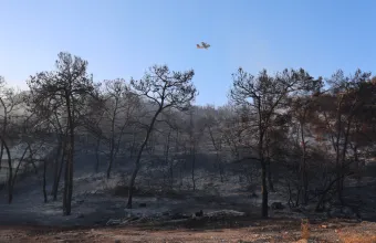 Υπό έλεγχο η πυρκαγιά σε κατοικία στο Ξηρόμερο Αιτωλοακαρνανίας