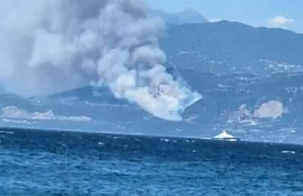 Φωτιά σε δασική έκταση κοντά σε οικισμό στη Φωκίδα - Ισχυρές δυνάμεις στη μάχη της κατάσβεσης