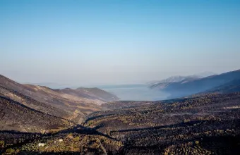 Φωτιά σε Αττική και Βοιωτία: 55% της έκτασης κάηκε σε δύο νύχτες - Δείτε πίνακες