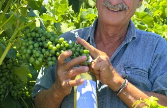 Το χρυσό Ασύρτικο της Πάρου: Ο Γιώργος Μωραΐτης μιλά για τη διεθνή διάκριση και το μέλλον του παριανού αμπελώνα