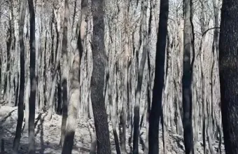 Επίσκεψη κλιμακίου της ΕΛ.ΑΣ. στις πυρόπληκτες περιοχές