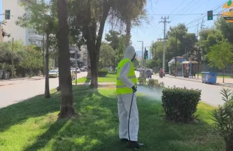 «Πόλεμος» με τα κουνούπια: Ψεκασμοί στην Αττική για τον ιό του Δυτικού Νείλου - Δείτε βίντεο