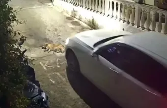 Κέρκυρα