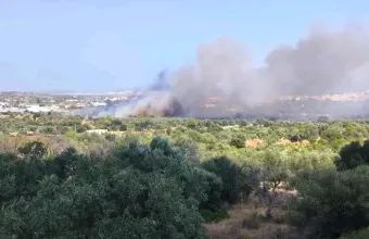 Φωτιά στο Κορωπί