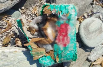 κοκαΐνη 