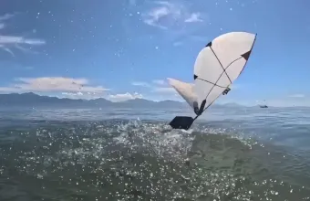 Το MIT δημιούργησε ρομπότ που πετάει και κολυμπάει σαν γλάρος – Δείτε βίντεο