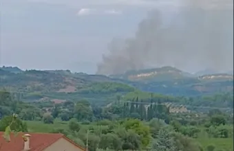 Μουζάκι Πύργου