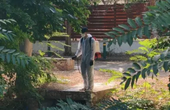 «Οχυρώνονται» απέναντι στον ιό του Δυτικού Νείλου οι Δήμοι της Αττικής - Νέοι ψεκασμοί στη ρεματιά Χαλανδρίου