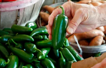 ΗΠΑ: Ανάκληση μεξικανικών πιπεριών jalapeño μετά από ξέσπασμα σαλμονέλας – 345 κρούσματα σε 27 πολιτείες