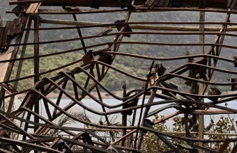 «Κρανίου τόπος» μετά τη φωτιά το Πόρτο Γερμενό- Συγκλονιστικό φωτογραφικό οδοιπορικό στα καμένα