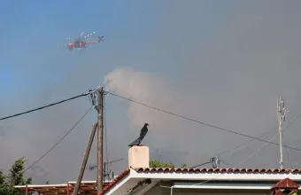 Πυρκαγιές στη Σαλαμίνα: Βρέθηκαν δύο νεκροί