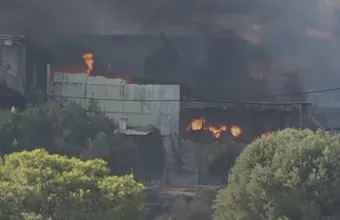 Φωτιά στην Αττικοβοιωτία: Μεγάλη καταστροφή στην κτηνοτροφική μονάδα της Κατσικαλής – Νεκρά περίπου 1.000 ζώα και πτηνά