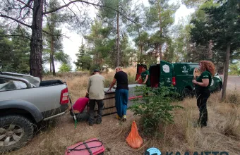 Θεσσαλονίκη: Πιάστηκε ο λύκος που είχε επιτεθεί σε 4χρονο παιδί