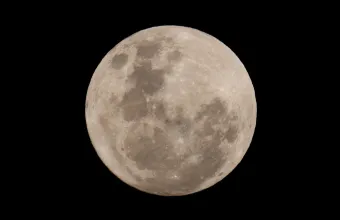 NASA: Μελέτη δείχνει ότι ορισμένα μικρόβια της Γης θα μπορούσαν να επιβιώσουν στη Σελήνη