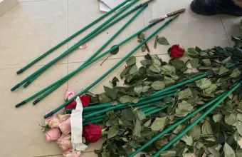κοκαΐνη σε τριαντάφυλλα