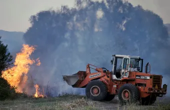 Καταβολή 5 εκατ. ευρώ ως προκαταβολή για ζημίες στο φυτικό κεφάλαιο από τις πυρκαγιές του 2024