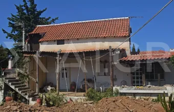 Μαραθώνας: Έθαψε τη μητέρα της πριν από 10 χρόνια για να παίρνει τη σύνταξή