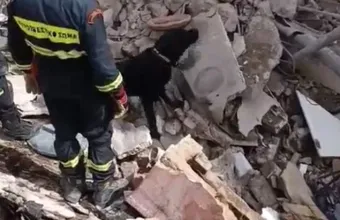 Σκύλος Πυροσβεστική