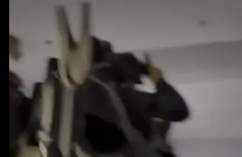 Μέγαρα: Βίντεο-ντοκουμέντο από την έφοδο της ΕΛ.ΑΣ. για την εξάρθρωση εγκληματικής οργάνωσης με λεία 350.000 ευρώ
