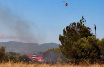 Έξι συλλήψεις για πυρκαγιές από αμέλεια