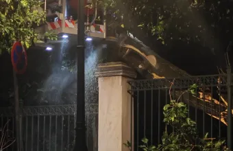 Πτώση μεγάλου δέντρου κοντά στο Μέγαρο Μαξίμου - Κλειστή η Ηρώδου Αττικού, επιχειρεί η Πυροσβεστική (Βίντεο)