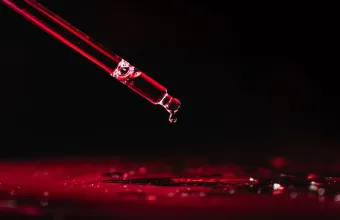 Poison