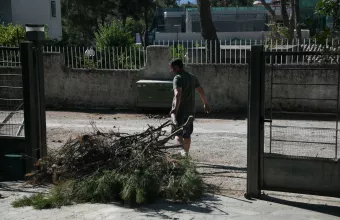καθαριστα 