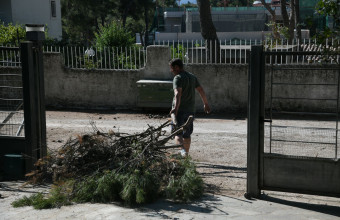 οικόπεδα