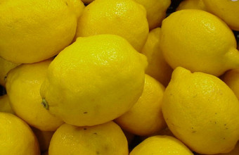 lemonia