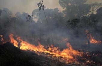Βραζιλία: Στο έλεος των πυρκαγιών Αμαζόνιος και Παντανάλ