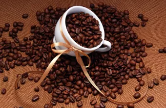 Καφές Arabica