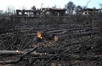 Την «Καθημερινή» και όχι τον πρώην αρχηγό της Πυροσβεστικής μηνύει η Γεροβασίλη