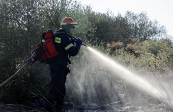 Οριοθετημένη η πυρκαγιά σε δασική έκταση στο Πόρτο Γερμενό
