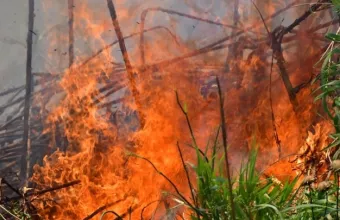 Πυρκαγιά στα Κεραμειά Χανίων - Φόβος για τους δυνατούς ανέμους