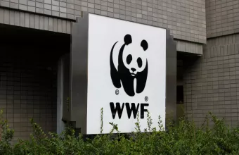 Λογότυπο WWF