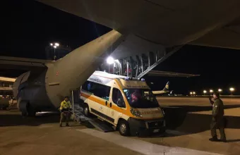μεταμόσχευση 