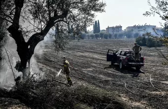 Δέντρο σε πυρκαγιά Αχαΐα