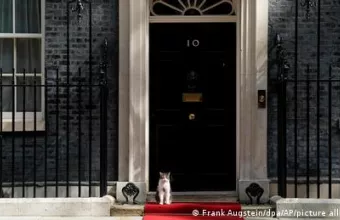 Μ. Βρετανία: Λάρι, ο μόνιμος κάτοικος της Downing Street