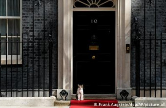 Μ. Βρετανία: Λάρι, ο μόνιμος κάτοικος της Downing Street