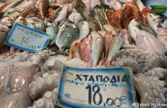 Ελληνικά ψάρια αγοράς