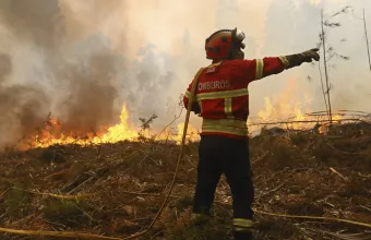 Κινητοποίηση 800 πυροσεστών για την αντιμετώπιση της φωτιάς στη βόρεια Πορτογαλία