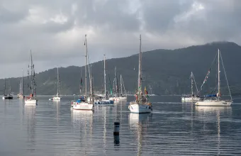 Flotilla