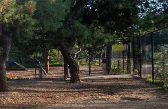 Άνοιξε ξανά το κοινό το άλσος Χωροφυλακής