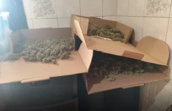 Κάνναβη σε χαρτόκουτα