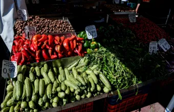 Οπωροκηπευτικά