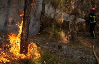Ολλανδία: Μάχη με τις φλόγες από εκατοντάδες πυροσβέστες σε μεγάλο δάσος φυσικού καταφυγίου