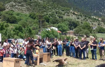 Χανιά
