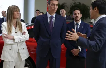 Μπεγκόνια Γκόμεθ